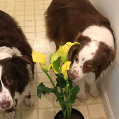 Sonja Oglesby Hull - Twitter Profile Picture of Sonja Oglesby Hull (@HullOglesby) on Twitter