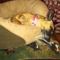 Jon Whitehead - Quora Profile Picture of Jon Whitehead (@jon-whitehead-13) on Quora