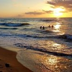 Profile Picture of Alice Rubino (@_alicerubino_) on Instagram