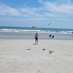 Angie Howard Hinshaw Ferguson - Instagram Profile Picture of Angie Howard Hinshaw Ferguson (@msferkin) on Instagram