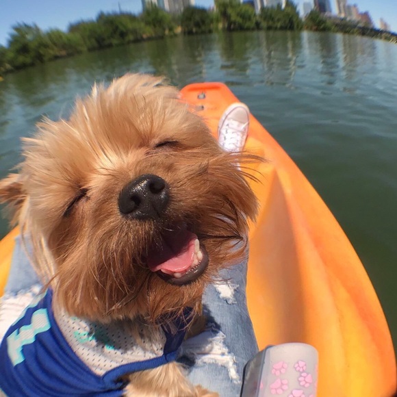 Profile Picture of Danielle Lepore (@dannylep) on Poshmark