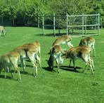 Profile Picture of Elizabeth Smith (@Elizabeth-Smith) on Facebook