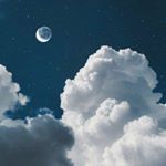 Profile Picture of Laura Larcom (@larcom_laura) on Instagram