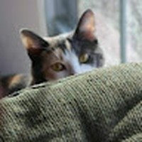 Profile Picture of Veronica Schroeder (@veronica-schroeder-12) on Quora