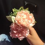 Profile Picture of Nora Nguyen (@nxoxrxaii) on Instagram