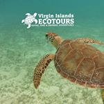 Profile Photo of Virgin Islands Ecotours (@virginislands_ecotours) on Instagram