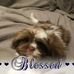 Profile Picture of Cedric Simpson (@cedric.simpson.3979) on Facebook