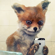 Profile Picture of Alex Kozak (@alexkozak8125) on Youtube