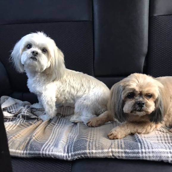 Profile Picture of Michele Brennan (@radtech08) on Poshmark