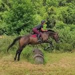 Profile Picture of Danielle Eisemann (@danielle_eise) on Instagram