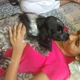 Devi Sheth - Pinterest Profile Picture of Devi Sheth (@devisheth8) on Pinterest