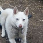 Profile Picture of Глатко Василий (@glatkovasilii) on Instagram