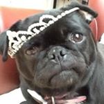 Profile Picture of Dawn Mcwilliams (@mcwilliams3969) on Instagram