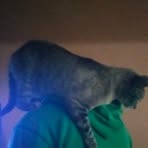 Profile Picture of Rocio Becerril (@rocio.becerril.966103) on Facebook