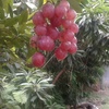 Profile Picture of George Hatcher (@@31203617857) on Tiktok
