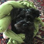 Profile Picture of BlackdogW (@david.westerlund.mail) on Instagram