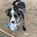 Profile Picture of Kyle Lance (@kyle__lance_) on Instagram