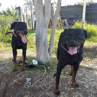 Profile Picture of Melgi Grego (Gissel) (@melvagisela.gregoriogomez) on Facebook