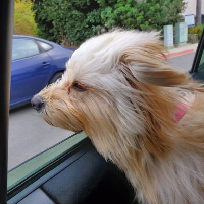 Profile Picture of John Crockett (@johnscrockett) on Twitter