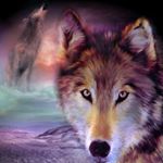 Profile Picture of Lisa Wolfe-Severance (@wolfeseverance) on Instagram