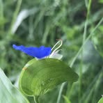 Profile Picture of Ruby Hosea (@Ruby-Hosea) on Facebook