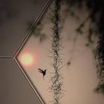 Profile Picture of Knox Jefferson (@Knox-Jefferson) on Facebook