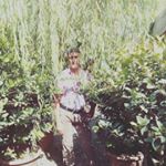 Profile Picture of asghar_hasani (@asghar_hasani1351) on Instagram