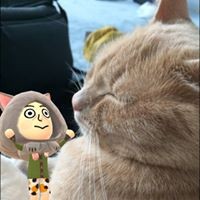 Profile Picture of Joyce Luo (@joyce-luo-7) on Quora