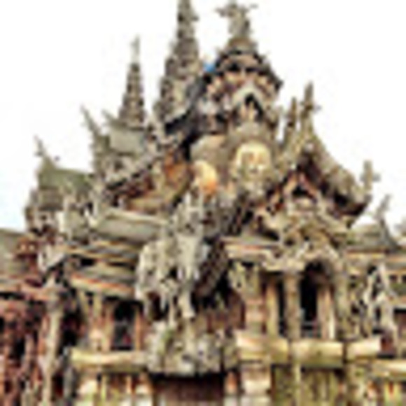 Profile Picture of Patrice Werlin (@patricefalzone) on Poshmark