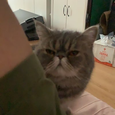 Profile Picture of GenLi (@GenLi04744532) on Twitter