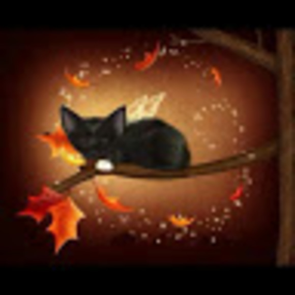 Profile Picture of Chrystyne K (@vfgb634) on Poshmark