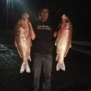 Profile Picture of Dustin Conely (@conelydustin) on Instagram