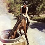 Profile Picture of Maddy Colteaux (@mgc_equestrian) on Instagram