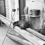 Profile Picture of Hilary David Goldring (@lordtiddles) on Instagram