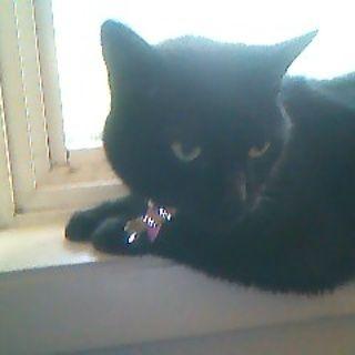 John M Zager - Twitter Profile Picture of John M Zager (@ZagerM) on Twitter