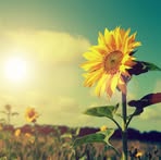 Profile Picture of Julia Castillo (@julia.castillo.818987) on Facebook