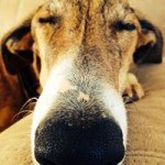 Profile Picture of Janet Bacon (@janct33) on Instagram