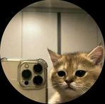 Profile Picture of Rin Kim (@RinKim01) on Facebook