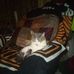 Profile Picture of Kenneth Gladstone (@kenneth.gladstone.7505) on Facebook
