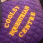 Profile Picture of 🐴Cooley Equestrian Centre🐴🐎 (@team_cooley_eq) on Instagram