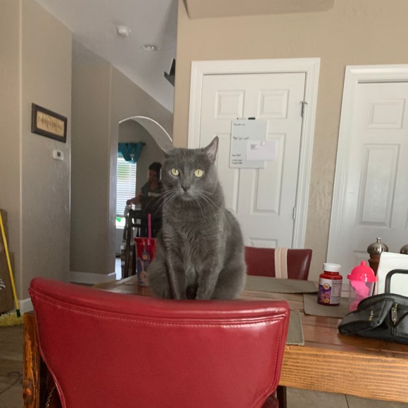 Profile Picture of Laura Daniels (@lahoppe6609) on Poshmark