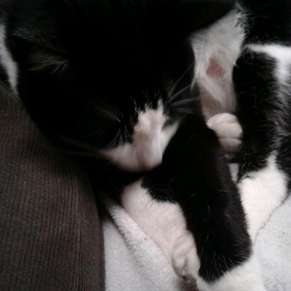 Profile Picture of Marsha Gettig (@mgettig) on Poshmark