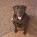 Profile Picture of Craig Sutliff (@casutliff) on Pinterest