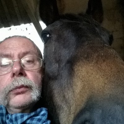 Profile Picture of Dave Figg (@Df20800) on Twitter