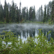 Profile Picture of April Turner (@aprilturner200) on Youtube