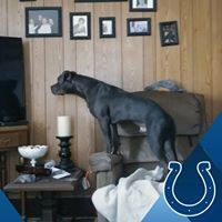 Profile Picture of Blake Kelly (@blake-kelly-20) on Quora