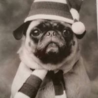 Profile Picture of Debbie Wray (@ILuvRoyals) on Twitter