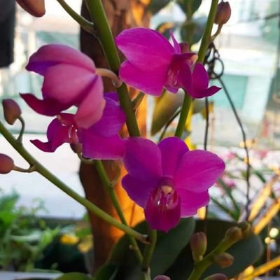 Profile Picture of Florence Nguyen (@Florenc49065042) on Twitter