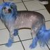 Profile Picture of Kim Cronin (@kim.cronin.923) on Facebook