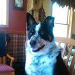 Ernest l Wilder - Instagram Profile Picture of Ernest l Wilder (@ernest_l_wilder) on Instagram